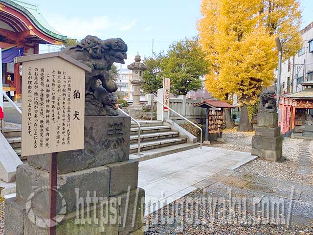 千住神社狛犬